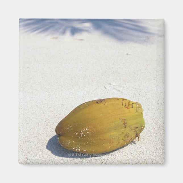 Íman Fruta de Palma (Frente)