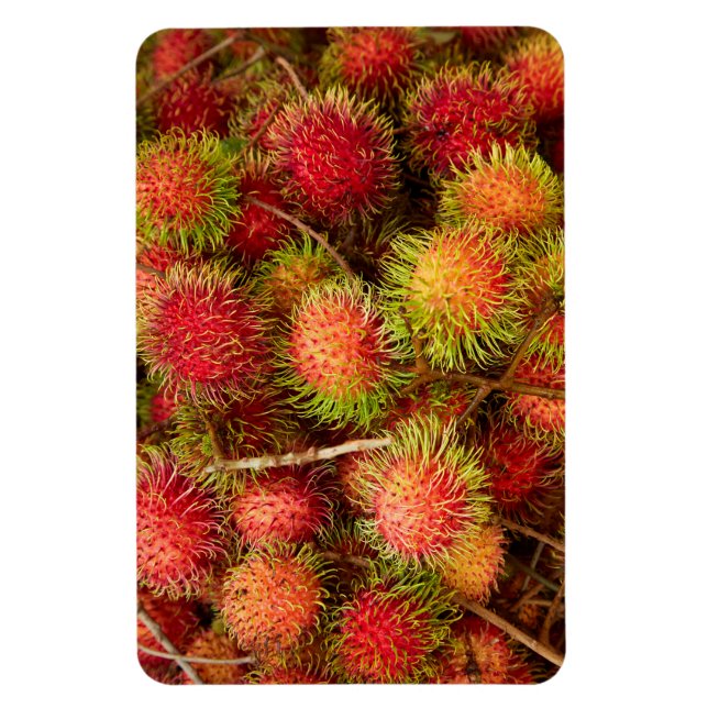 Íman Fruta de Rambutã no Mercado de Can Duoc (Vertical)