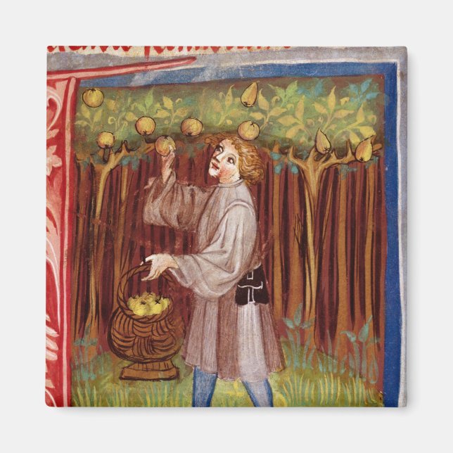 Íman Fruta de separação (Frente)