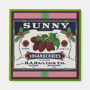 Íman Fruta ensolarada do loganberry