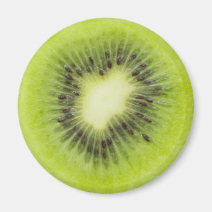 Íman Fruta fresca de kiwi. Fechamento de fatias redonda