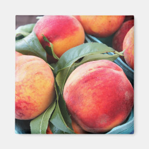 Íman Fruta fresca - ímã dos pêssegos