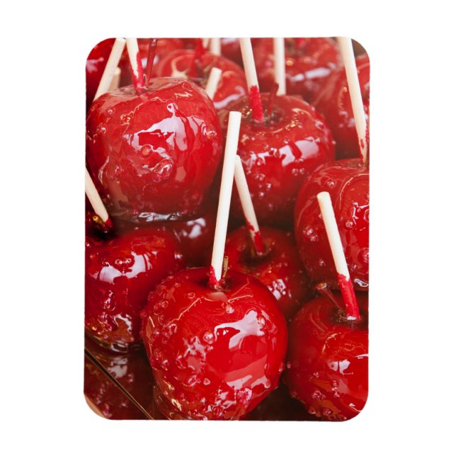 Íman Fruta revestida de doce na Cerveja Estugarda Festi (Vertical)