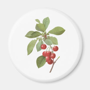 Íman Fruta Vintage Cereja Comida, Cerejas por Redoute
