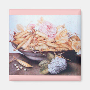 ÍMAN FRUTAS 6 DA SEASON - FEIJÕES E ROSAS