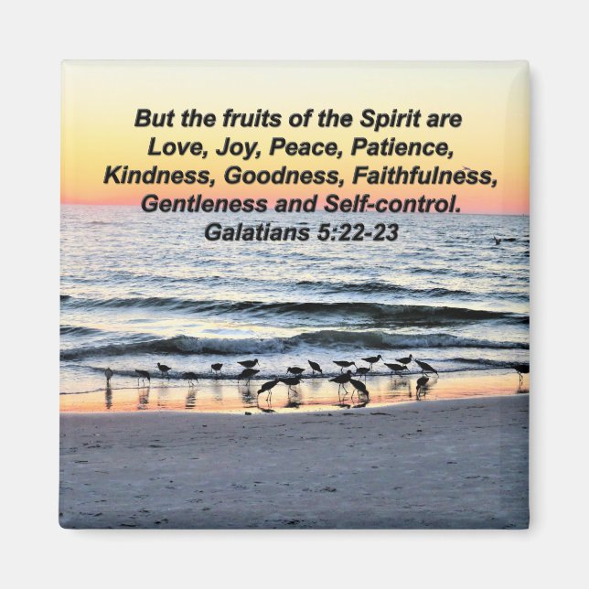 Íman FRUTAS bonito DOS ESPÍRITOS GALÁCIOS 5 MAGNET (Frente)