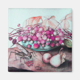 ÍMAN FRUTAS DA SEASON 3