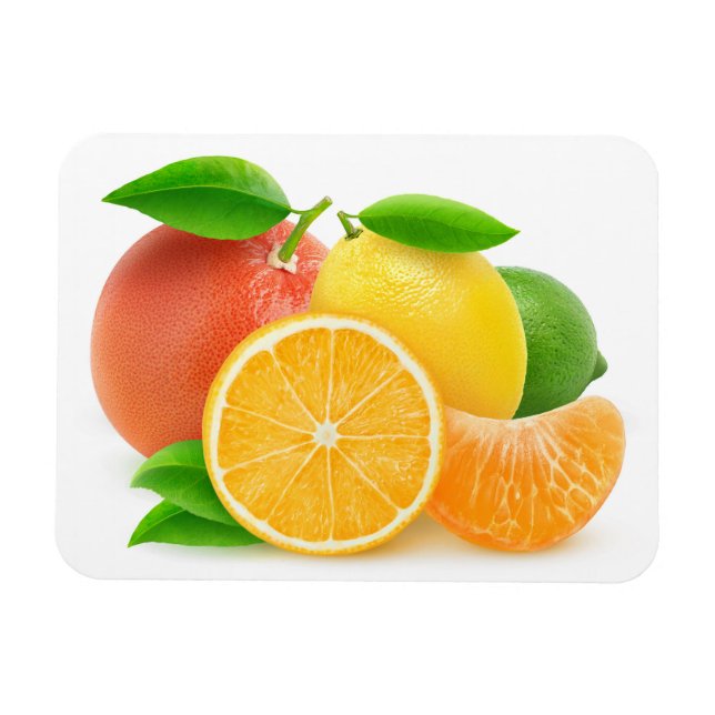 Íman Frutas de Citrus (Horizontal)