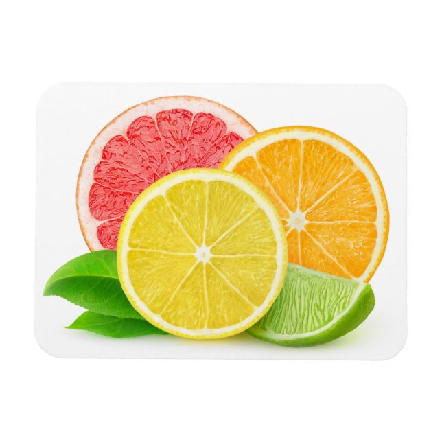 Íman Frutas de Citrus (Horizontal)