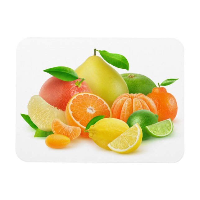 Íman Frutas de Citrus (Horizontal)