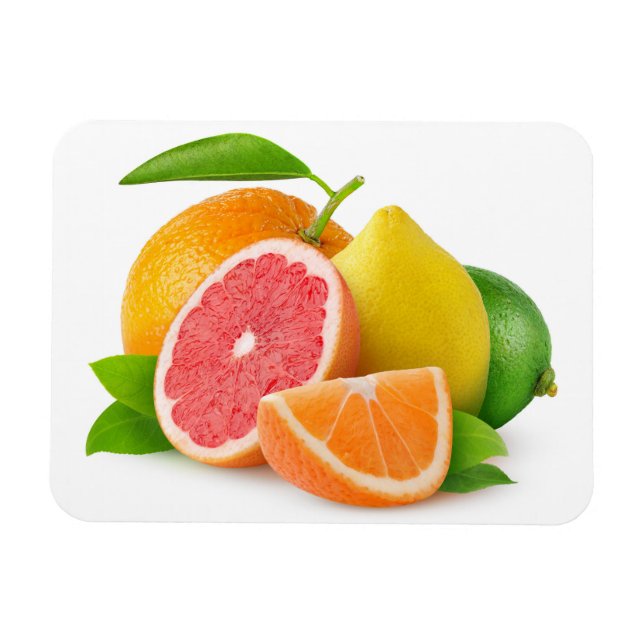 Íman Frutas de Citrus (Horizontal)