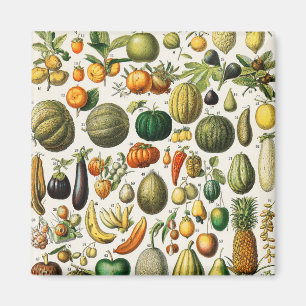 Íman Frutas e produtos hortícolas
