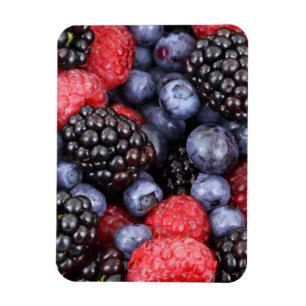 Íman Frutas Vermelhas de Verão
