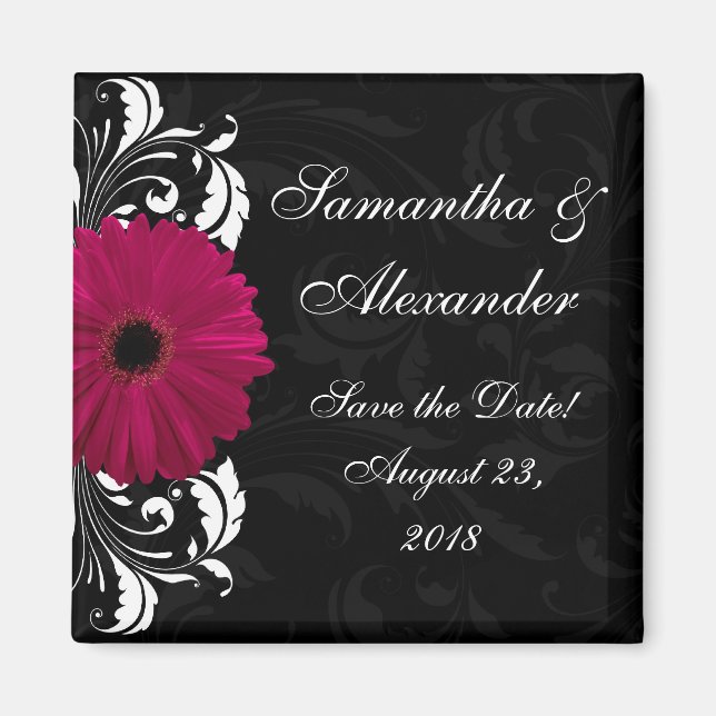 Íman Fuchsia Scroll Gerbera Daisy w/Black and White (Frente)