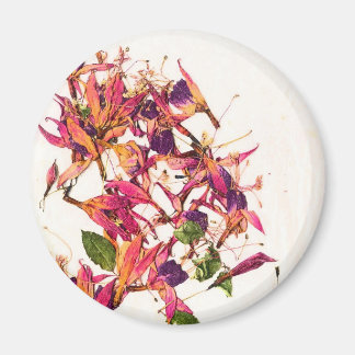 ÍMAN FUCHSIAS I