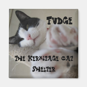 Íman Fudge do ímã do eremitério
