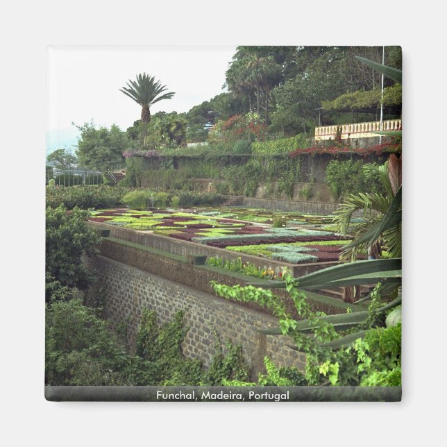 Íman Funchal, Madeira, Portugal (Frente)