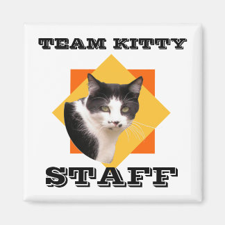Íman Funcionarios do Gatinho de Equipe