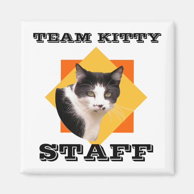 Íman Funcionarios do Gatinho de Equipe (Frente)