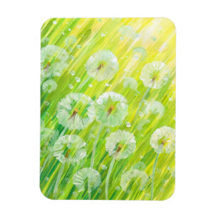 Íman Fundo 2 da natureza