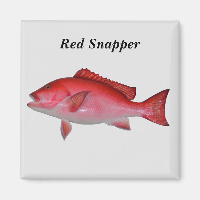 Íman Fundo de peixe do Snapshot Vermelho (Frente)