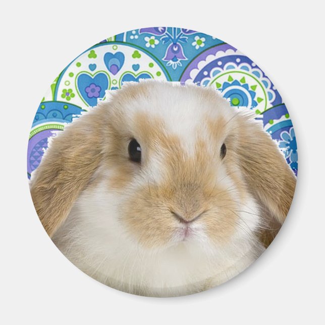 Íman Funky Bunny (Frente)