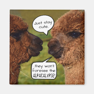 Íman Funny Alpaca Alpacalypse Scheming