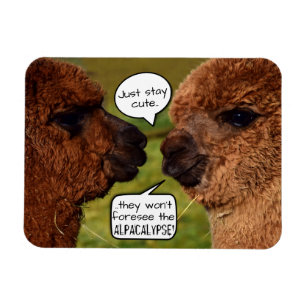 Íman Funny Alpaca Alpacalypse Scheming