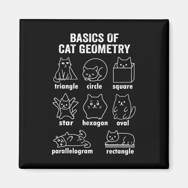 Íman Funny Bysics Of Cat Geometry Byck To School Math T (Frente)