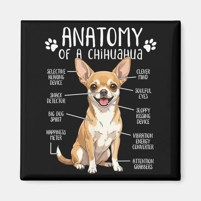 Íman Funny Chihuahua Anatomy Of A Chihuahua Dog Owner P (Frente)