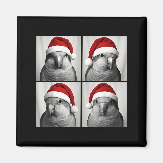 Íman Funny Christmas Quaker Parrot Santa Photo Booth  (Frente)