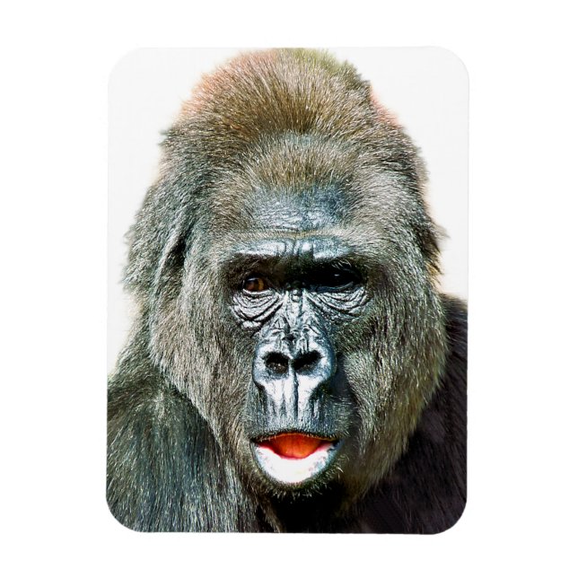 ÍMAN  FUNNY CUTE GORILLA (Vertical)