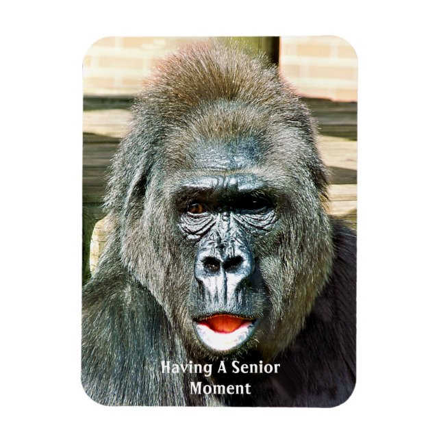 ÍMAN  FUNNY CUTE GORILLA (Vertical)