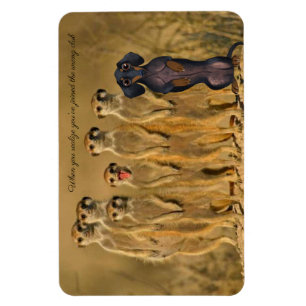 Íman Funny Dachshund Meerkat Magnet