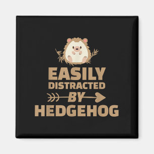 Íman Funny Facilmente Distridida Por Hedgehog Pet Anima