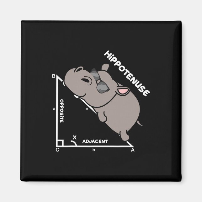 Íman Funny Geometry Hypotenuse Math Mathematics Teacher (Frente)