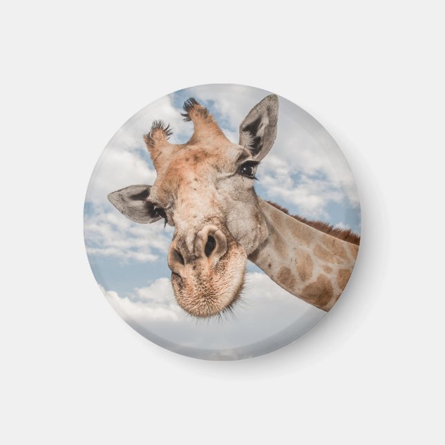 Íman Funny Giraffe (Frente)