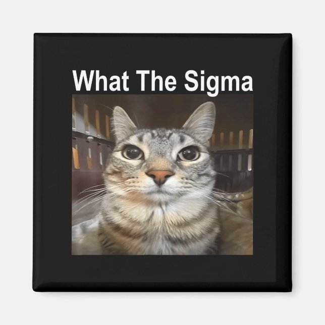 Íman Funny Meme Cat What The Sigma Cute Cat Meme Quote  (Frente)
