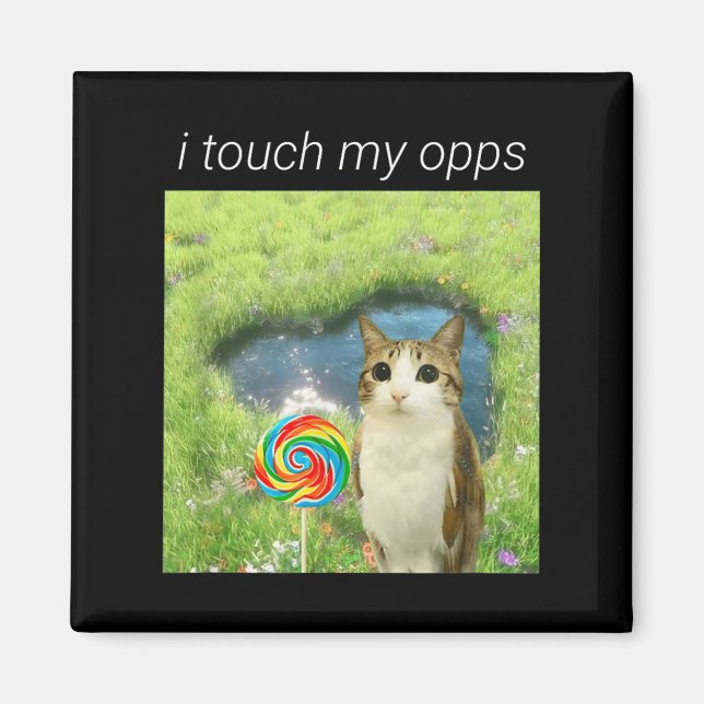 Íman Funny Meowl Meme, Cat Owl Meme Brainrot Gen Alpha  (Frente)