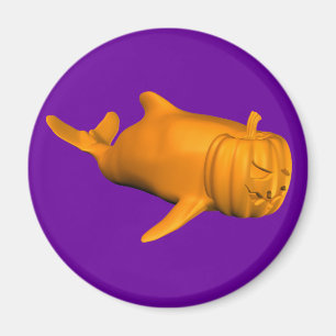 Íman Funny Orcinus orca