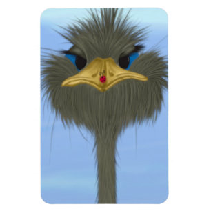 Íman Funny Ostrich George E O Bonitinho Ladybug