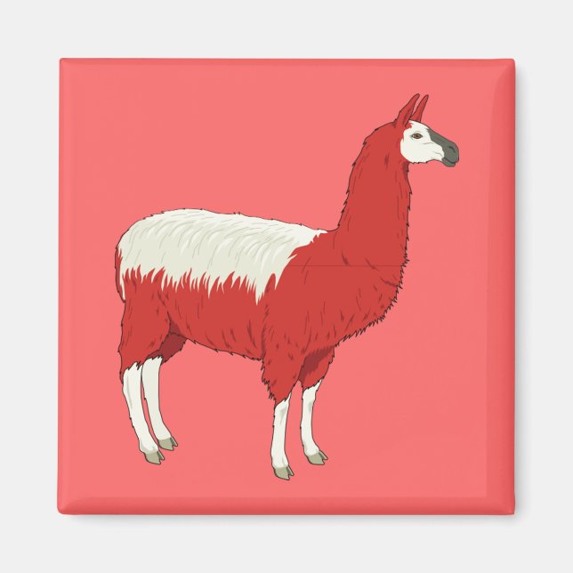 Íman Funny Red Llama (Frente)