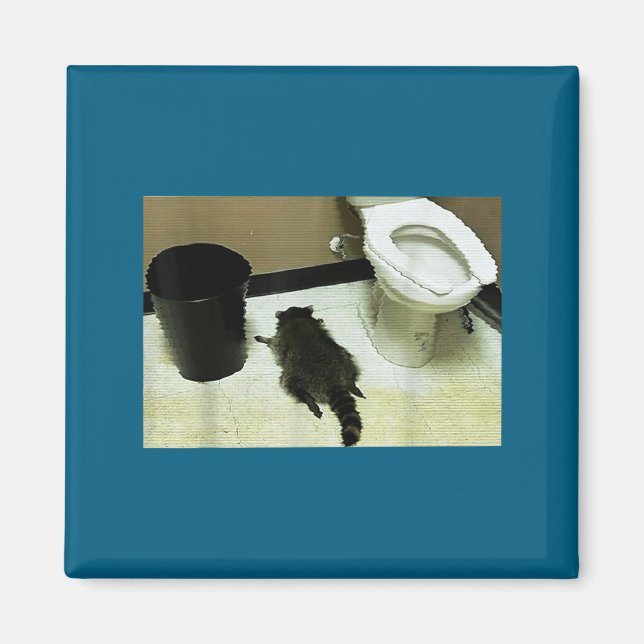 Íman Funny Trashed Panda Drunk Racoon  (Frente)