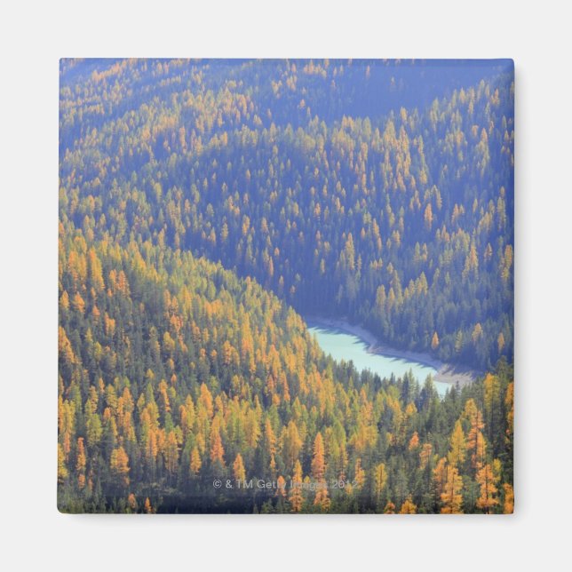 Íman Fuorn Pass (Frente)