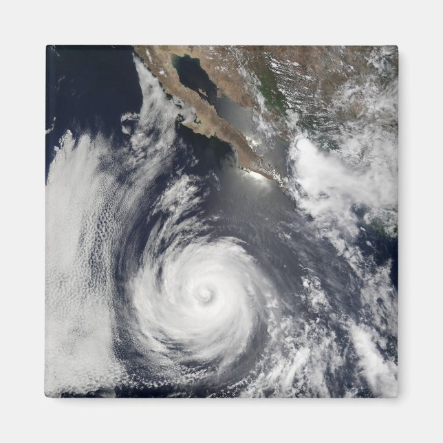 Íman Furacão Douglas (Frente)