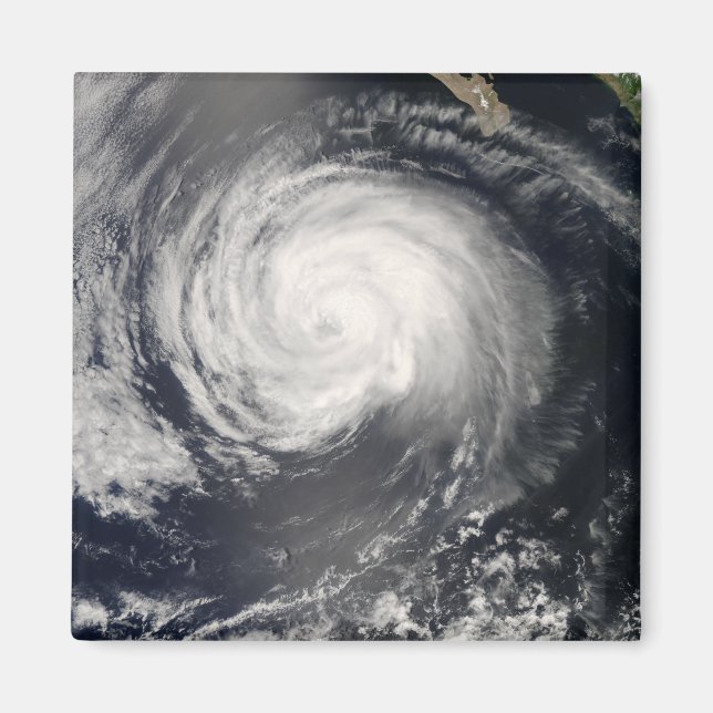 Íman Furacão Fausto (Frente)