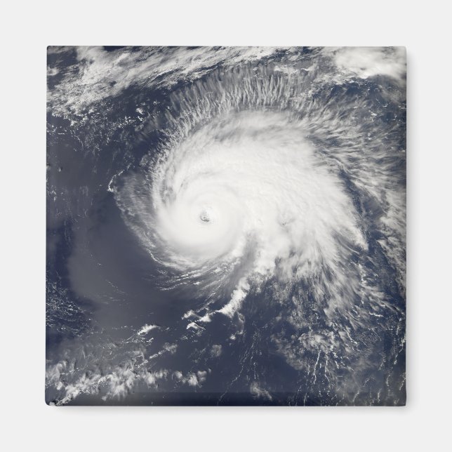 Íman Furacão Gordon (Frente)