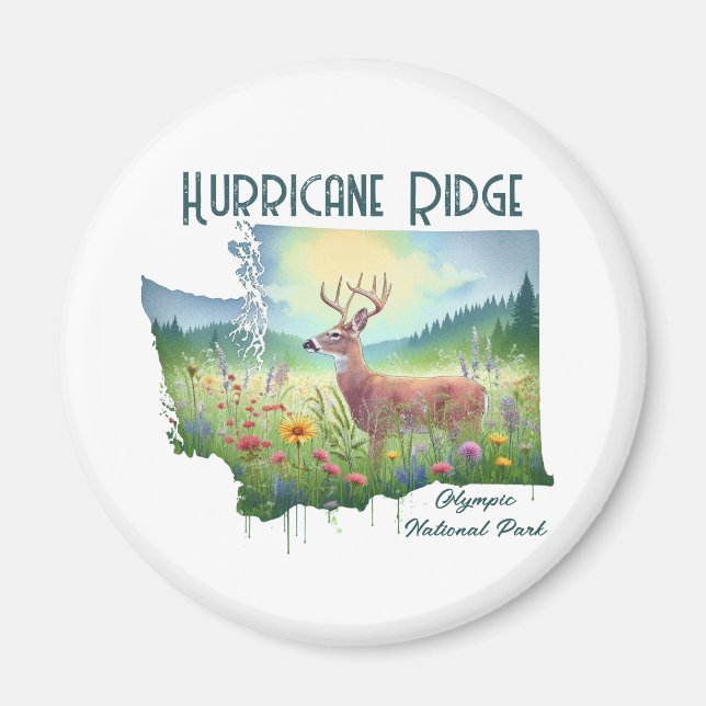 Íman Furacão Ridge National Park Souvenir Gift (Frente)