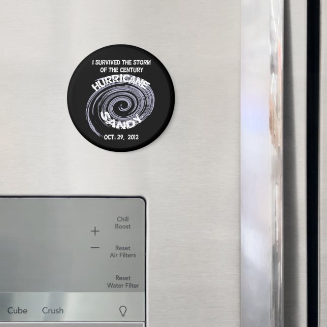 Íman Furacão Sandy (In Situ (Fridge))