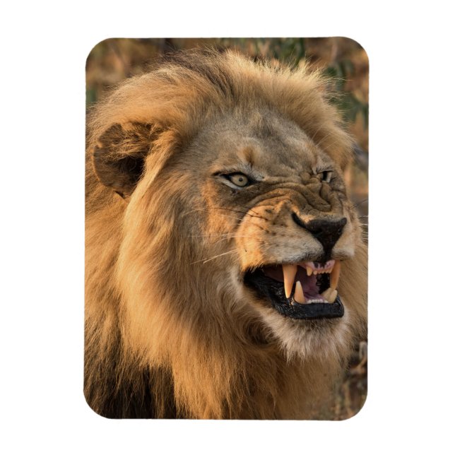 Íman Furioso Frigorífico do LION Magnet, seu modelo de  (Vertical)